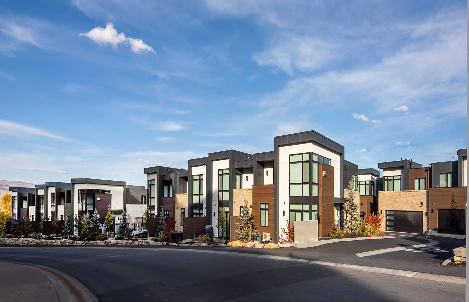 Viridian Townhomes - architectural design by Elliott Workgroup