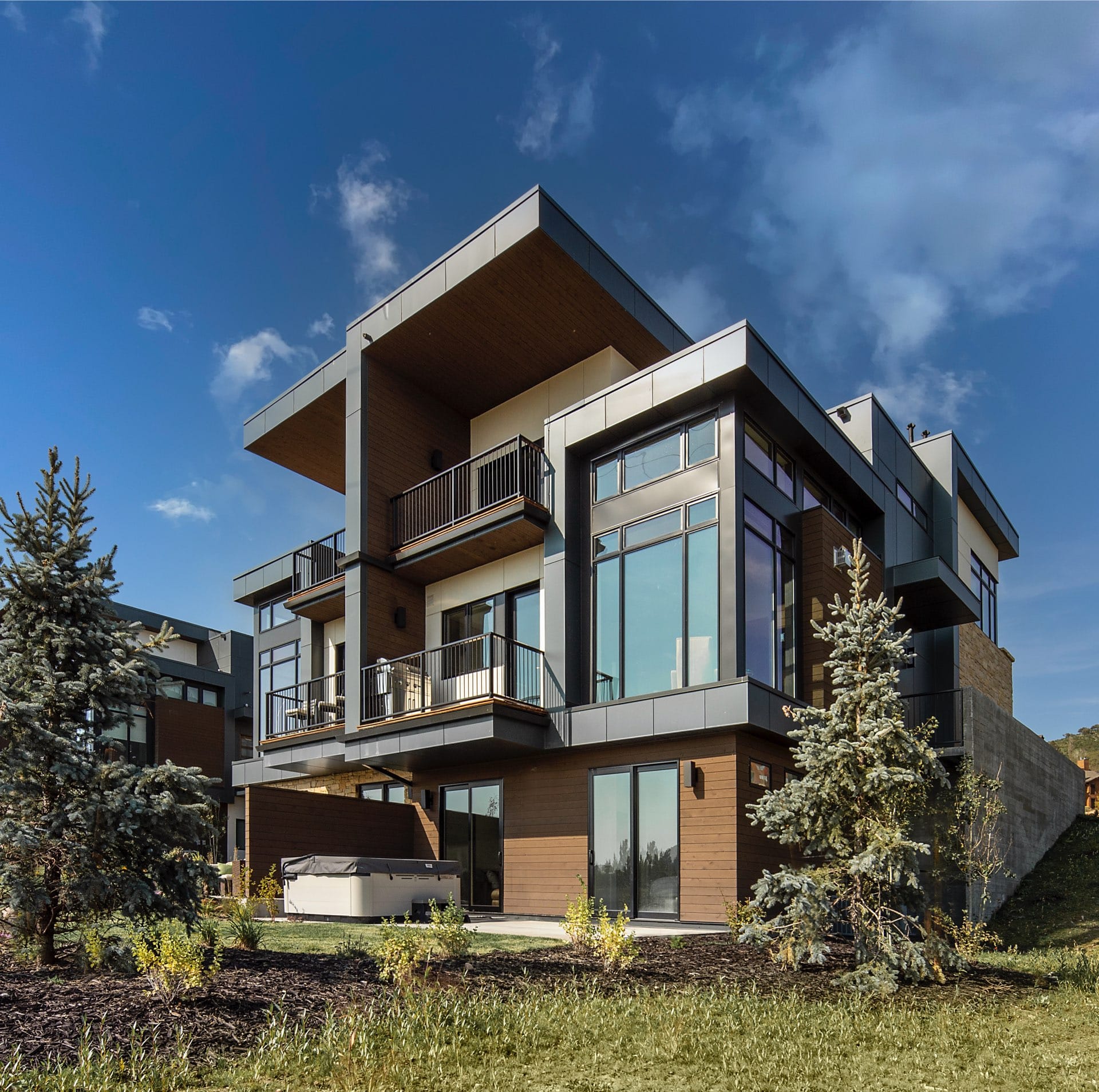Viridian Townhomes - architectural design by Elliott Workgroup